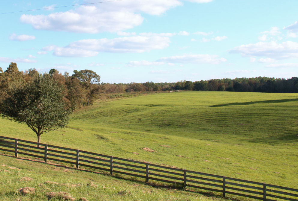 open farm scenery